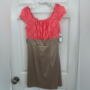 Elegant Pink and Tan Lace Dress